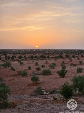 V693 -                            Vente
                           Terrain Djerba