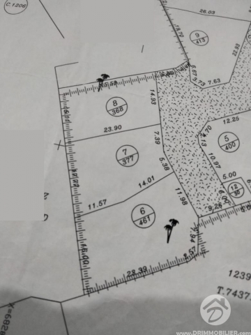  V717 -  Vente  Terrain Djerba