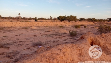  V731 -  بيع  أرض للبيع جربة