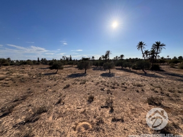  V746 -  بيع  أرض للبيع جربة