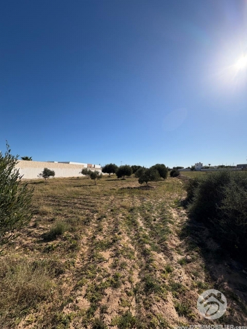  V750 -  Vente  Terrain Djerba