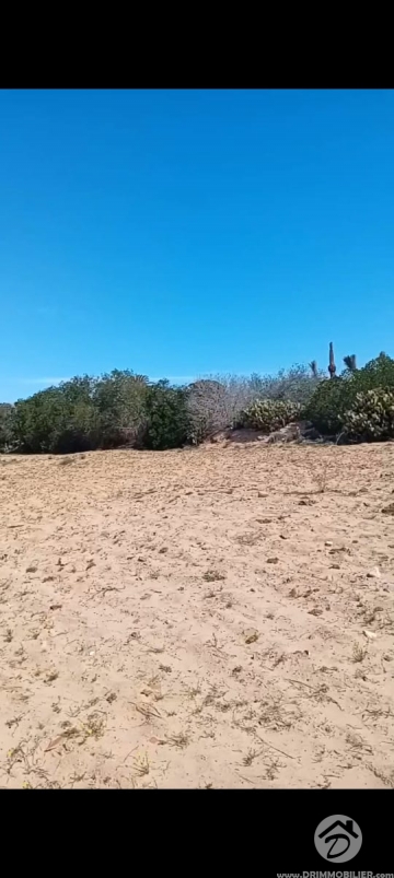 V755 -                            Sale
                           Villa avec piscine Djerba