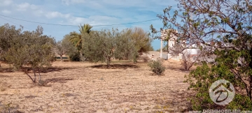 V756 -  بيع  أرض للبيع جربة