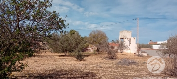 V756 -                            بيع
                           Terrain Djerba