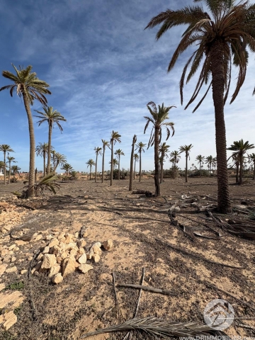 V758 -                            Vente
                           Houch Djerbien Djerba