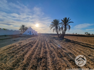 V760 -                            بيع
                           Terrain Djerba