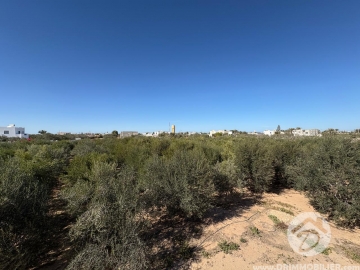  V761 -  بيع  أرض للبيع جربة