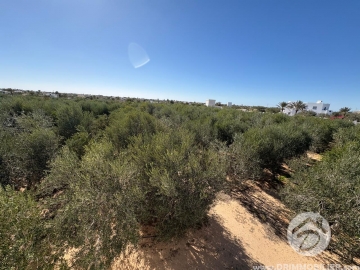 V761 -                            بيع
                           Terrain Djerba
