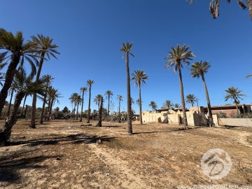  V765 -  Vente  Houch Djerbien Djerba