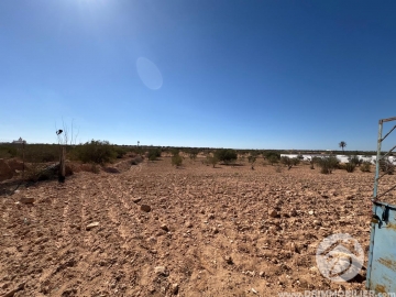 V766 -                            بيع
                           Terrain Djerba