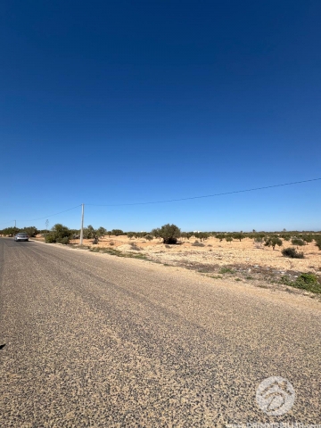 V766 -                            بيع
                           Terrain Djerba