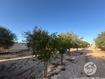 V770 -                            Sale
                           Villa Meublé Djerba