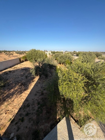 V770 -                            Sale
                           Villa Meublé Djerba