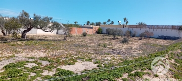  V777 -  Koupit  přízemní Djerba