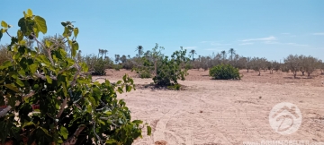  V778 -  Koupit  přízemní Djerba