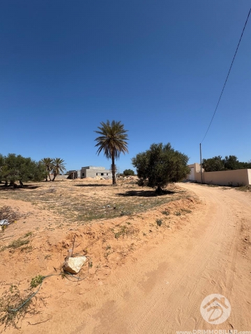 V779 -                            Koupit
                           Terrain Djerba