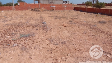 V788 -                            بيع
                           Terrain Djerba